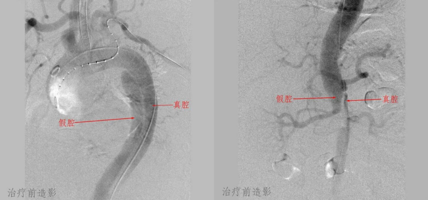 QQ20241209-173325.jpg QQ20241209-173325.jpg