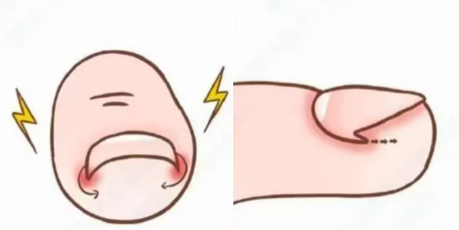 QQ20250120-171941.jpg QQ20250120-171941.jpg