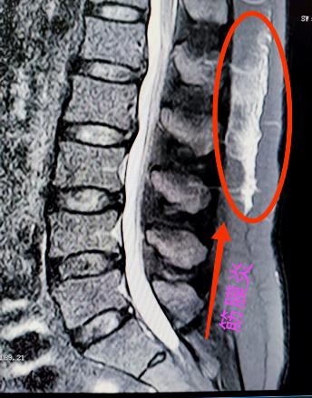 圖片1.jpg 圖片1.jpg