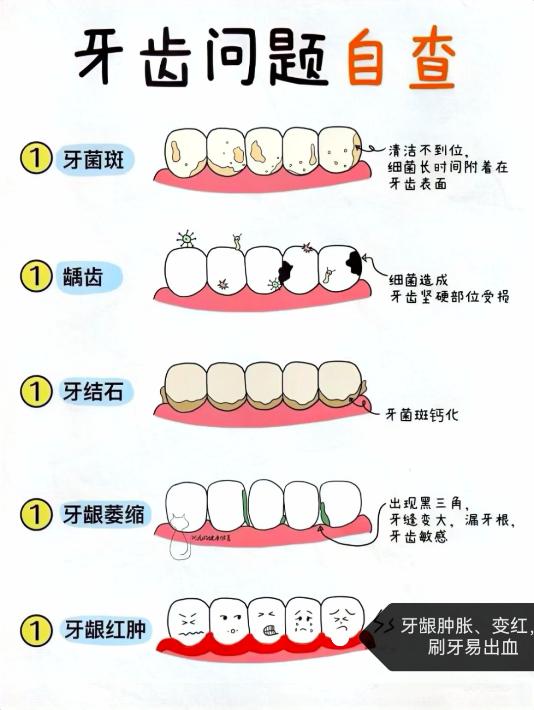 圖片1.jpg 圖片1.jpg